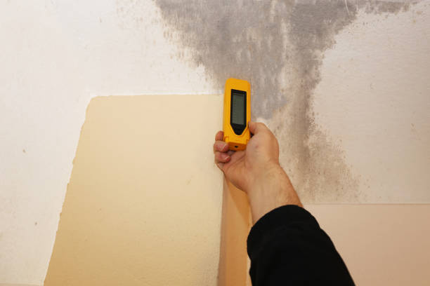 Best Water Damage & Mold Remediation  in Smithfield, NC