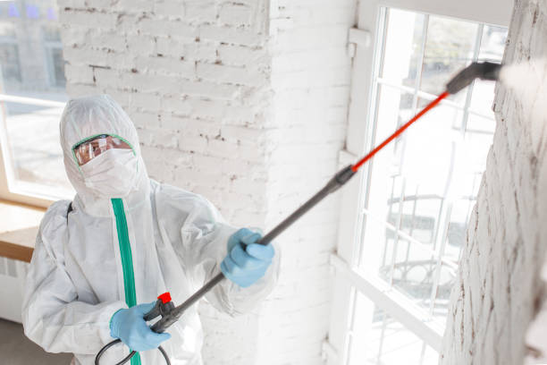 Best Mold Documentation for Insurance Claims  in Smithfield, NC