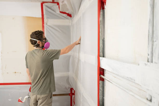 Forensic Mold Investigation in Smithfield, NC