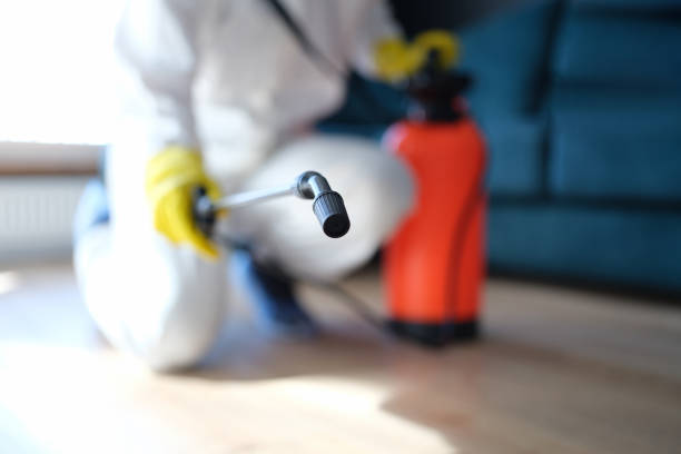  Smithfield, NC Mold Removal Pros
