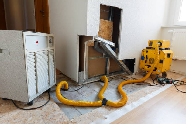 Best Industrial Mold Remediation  in Smithfield, NC