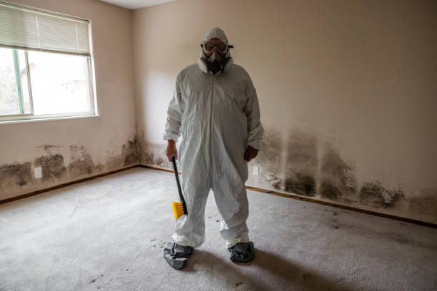 Best Real Estate Mold Inspection  in Smithfield, NC